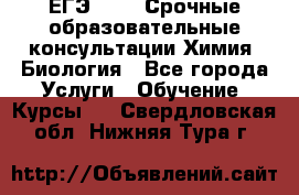 ЕГЭ-2021! Срочные образовательные консультации Химия, Биология - Все города Услуги » Обучение. Курсы   . Свердловская обл.,Нижняя Тура г.